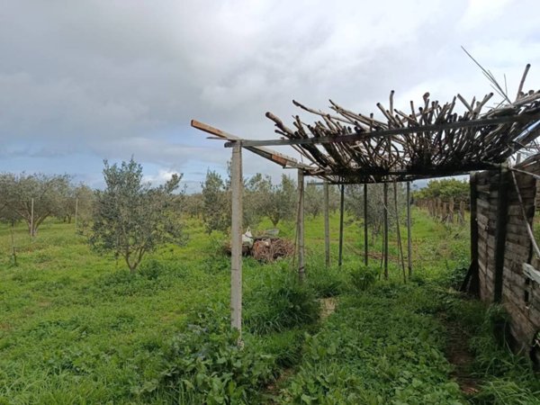 terreno agricolo in vendita a Balestrate