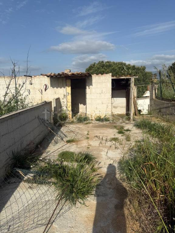 terreno agricolo in vendita a Balestrate