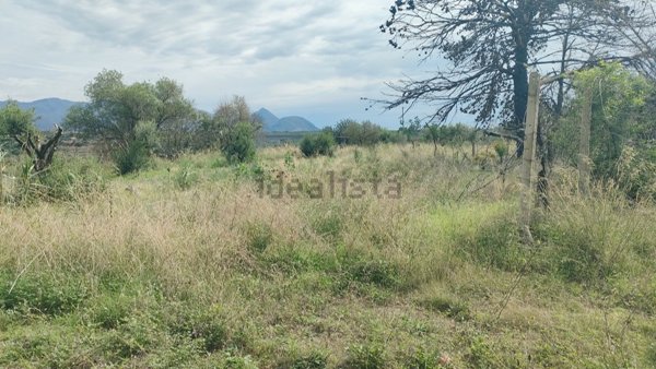 locale di sgombero in vendita a Balestrate