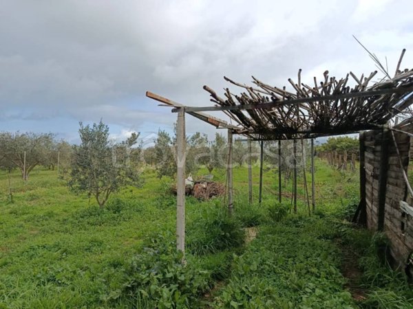terreno agricolo in vendita a Balestrate