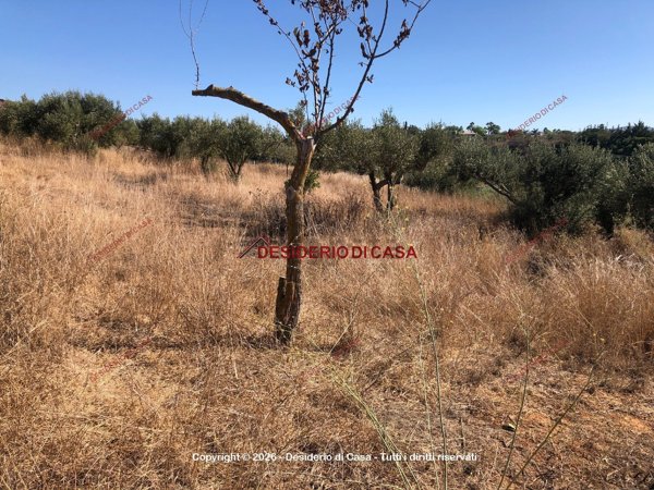 terreno agricolo in vendita a Balestrate