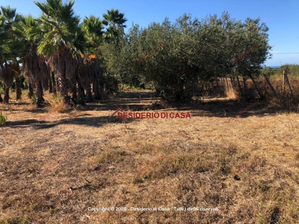 terreno agricolo in vendita a Balestrate