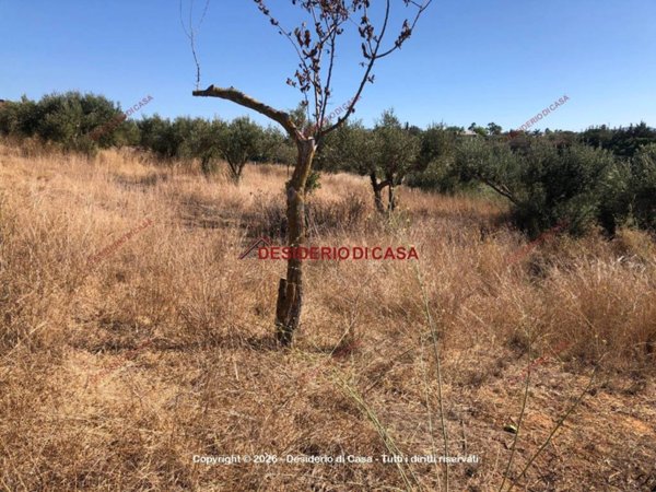 terreno agricolo in vendita a Balestrate