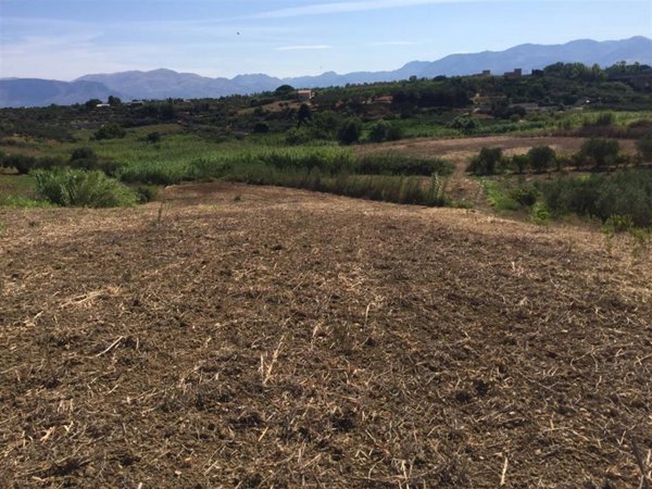 terreno agricolo in vendita a Balestrate