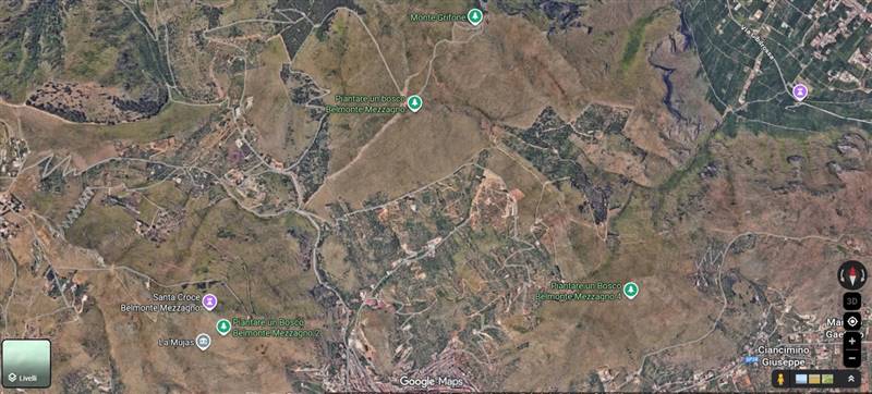 terreno agricolo in vendita a Belmonte Mezzagno