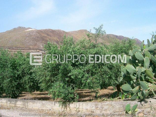 terreno agricolo in vendita a Belmonte Mezzagno