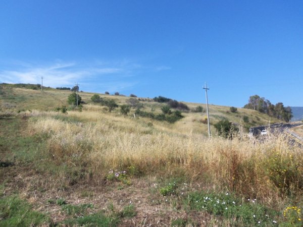 terreno agricolo in vendita a Bolognetta