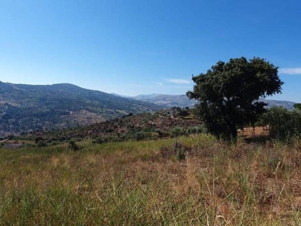 terreno agricolo in vendita a Bolognetta
