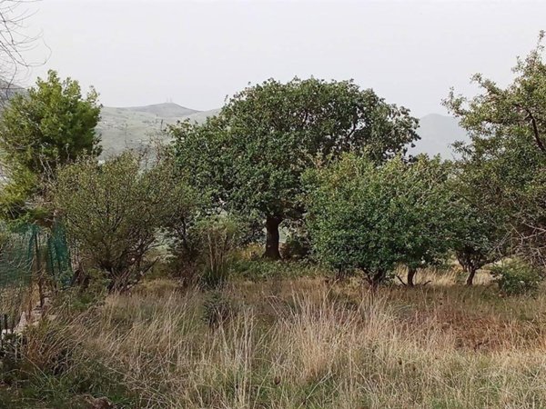 terreno agricolo in vendita a Bolognetta