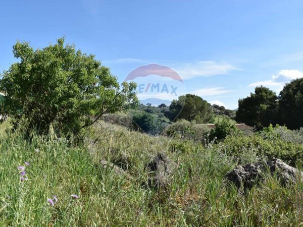 terreno agricolo in vendita a Bolognetta