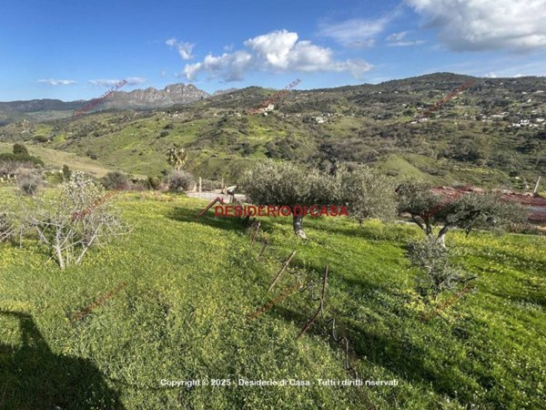 terreno agricolo in vendita a Bolognetta
