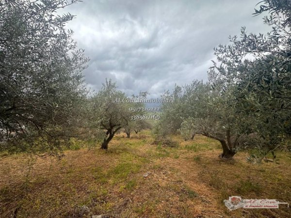 terreno agricolo in vendita a Bolognetta