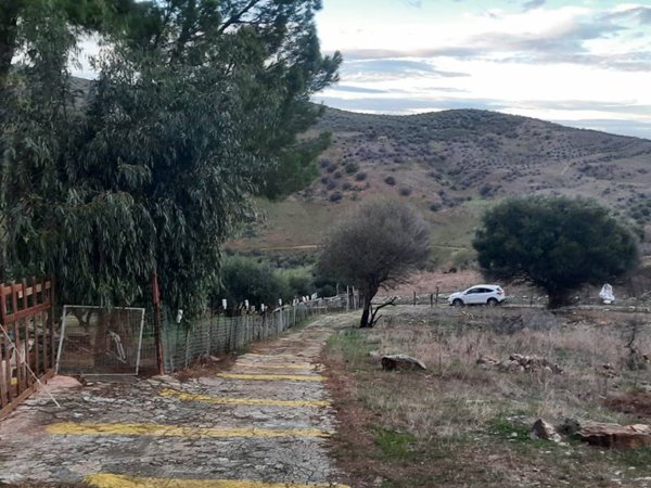 terreno agricolo in vendita a Bolognetta