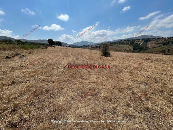 terreno agricolo in vendita a Bolognetta