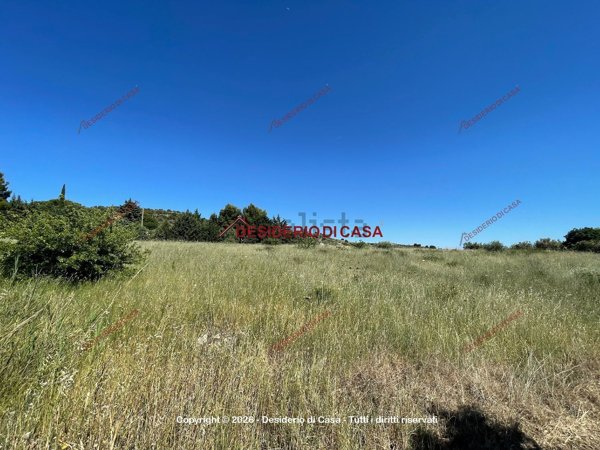terreno agricolo in vendita a Bolognetta