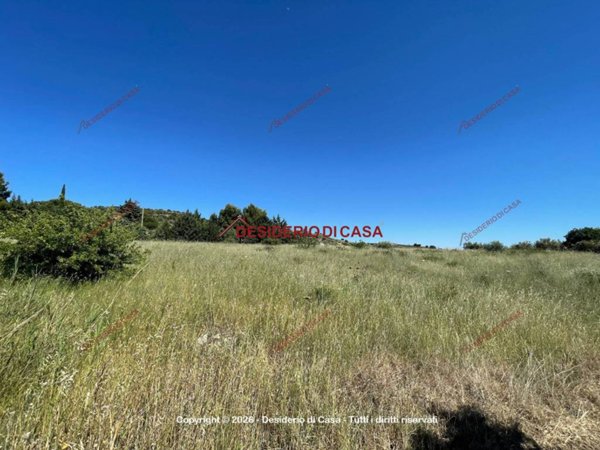 terreno agricolo in vendita a Bolognetta