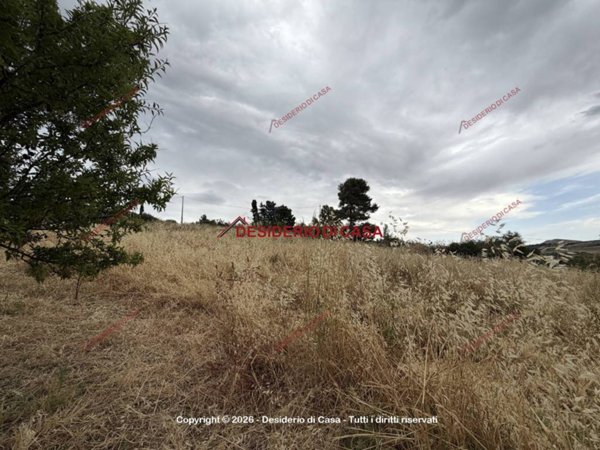 terreno agricolo in vendita a Bolognetta