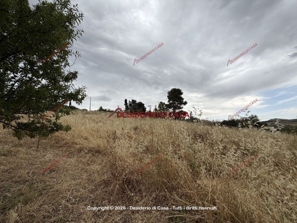 terreno agricolo in vendita a Bolognetta