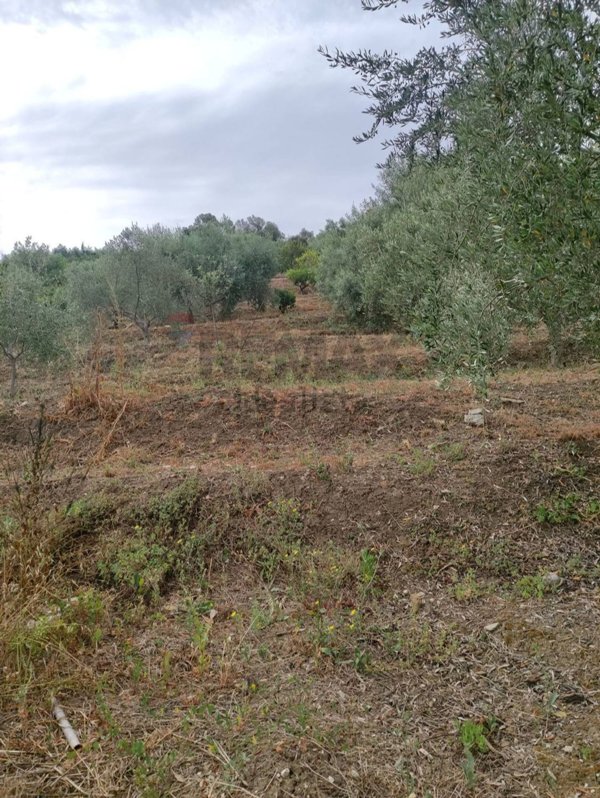 terreno in vendita a Bolognetta