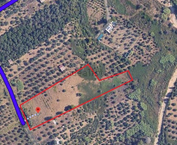 terreno in vendita a Bolognetta