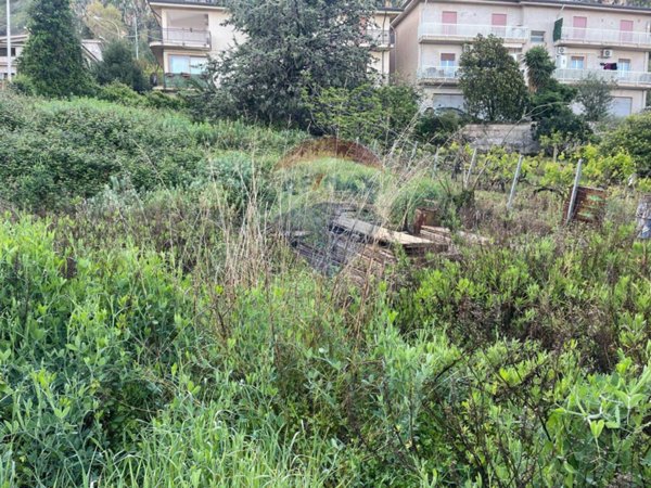 casa indipendente in vendita a Borgetto