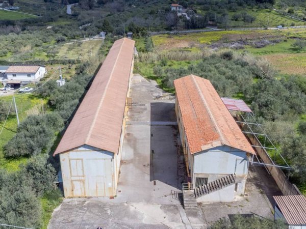 locale commerciale in vendita a Borgetto