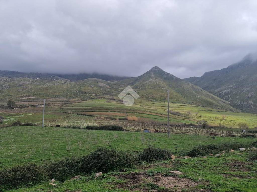 terreno agricolo in vendita a Borgetto