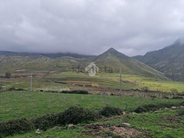 terreno agricolo in vendita a Borgetto