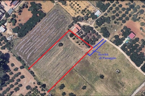 terreno agricolo in vendita a Borgetto