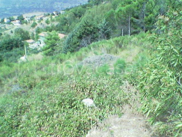 terreno agricolo in vendita a Borgetto