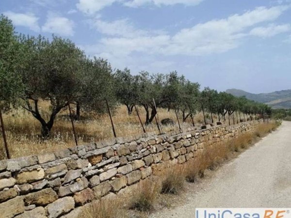 terreno agricolo in vendita a Caccamo