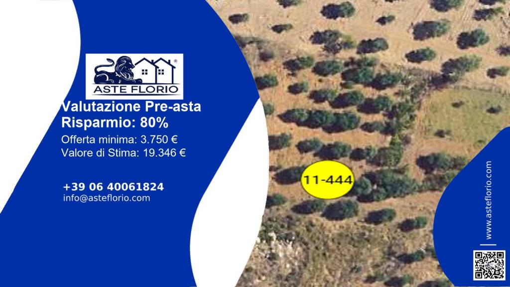 terreno agricolo in vendita a Caccamo