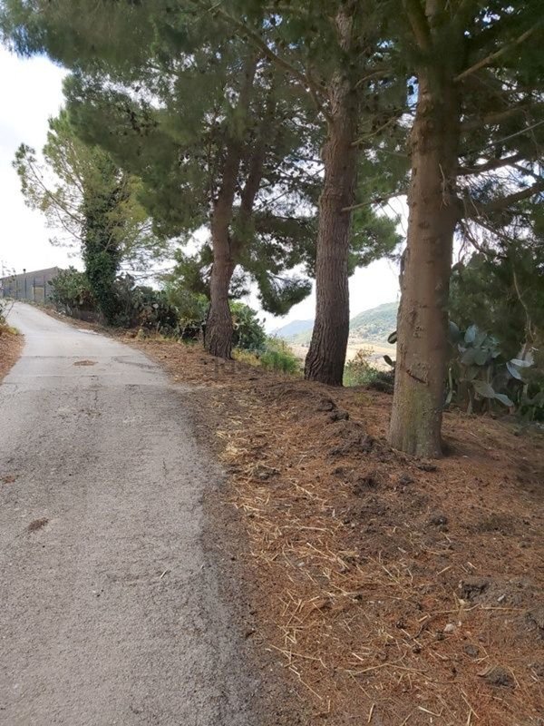 esavano in vendita a Caccamo