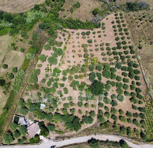 casa indipendente in vendita a Caccamo