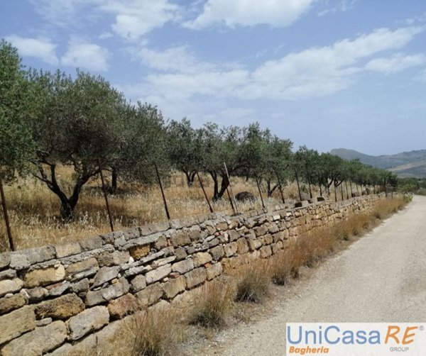 terreno agricolo in vendita a Caccamo