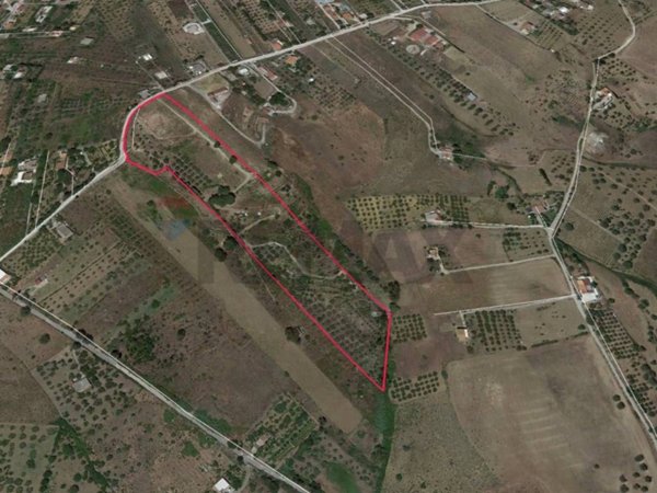 terreno agricolo in vendita a Caccamo