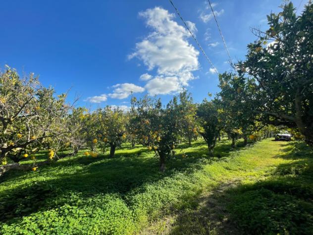 ufficio in vendita a Caccamo