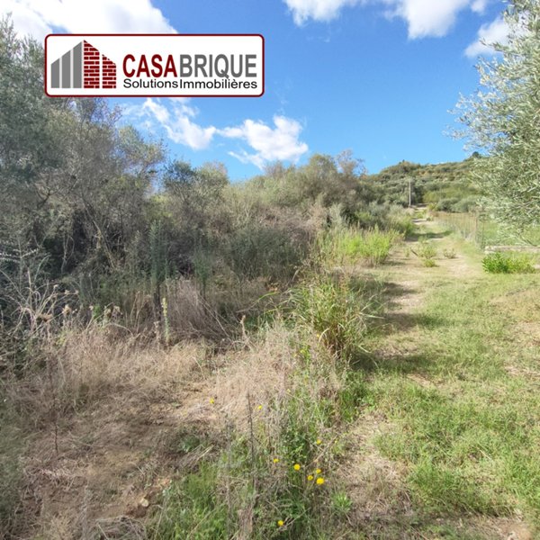 terreno agricolo in vendita a Campofelice di Roccella