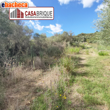terreno agricolo in vendita a Campofelice di Roccella