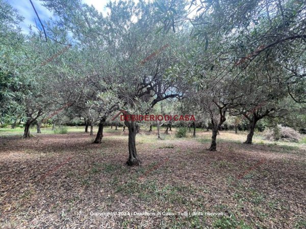 terreno agricolo in vendita a Campofelice di Roccella