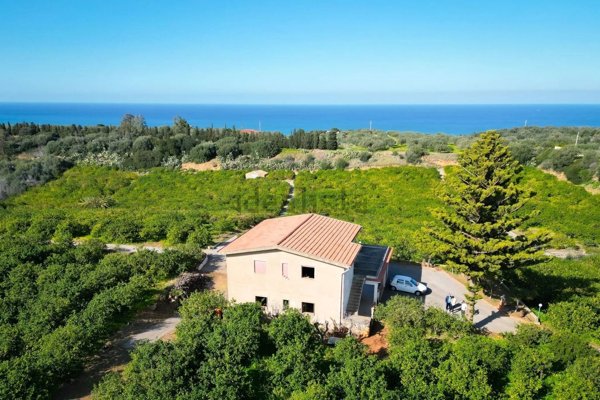 esavano in vendita a Campofelice di Roccella