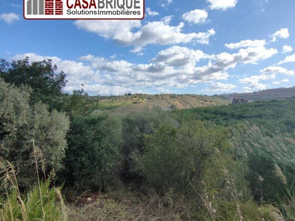 terreno agricolo in vendita a Campofelice di Roccella