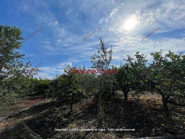 terreno agricolo in vendita a Campofelice di Roccella