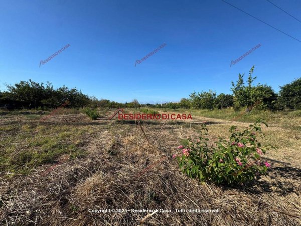 terreno agricolo in vendita a Campofelice di Roccella