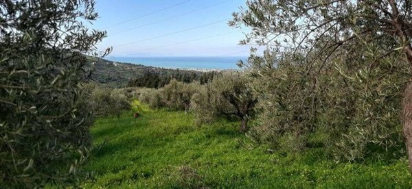 terreno agricolo in vendita a Campofelice di Roccella