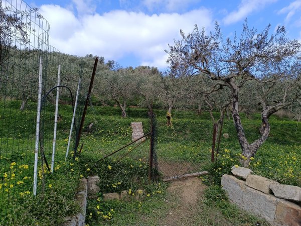 terreno agricolo in vendita a Campofelice di Roccella