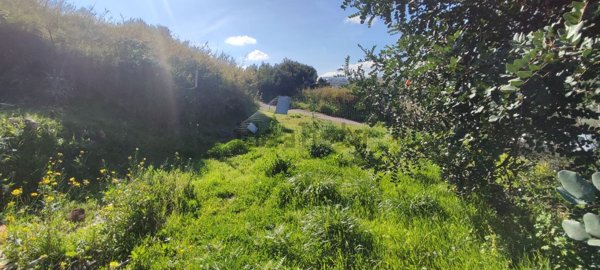 terreno agricolo in vendita a Campofelice di Roccella
