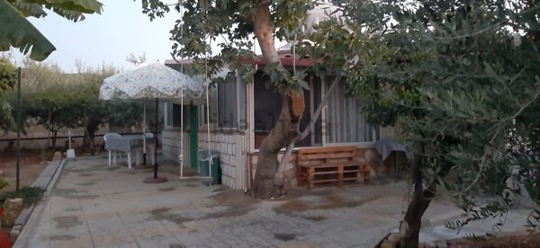 casa indipendente in vendita a Campofelice di Roccella