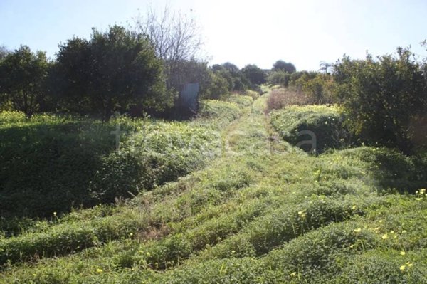 terreno agricolo in vendita a Campofelice di Roccella