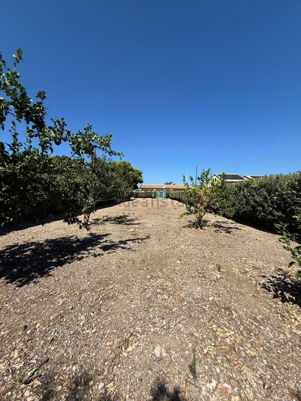 terreno agricolo in vendita a Campofelice di Roccella
